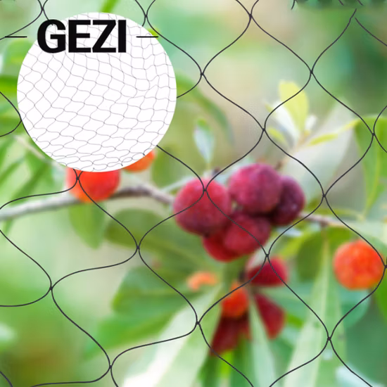 Protective Net Used in Agriculture to Protect Wild Animals Net Bird Fire Resistant