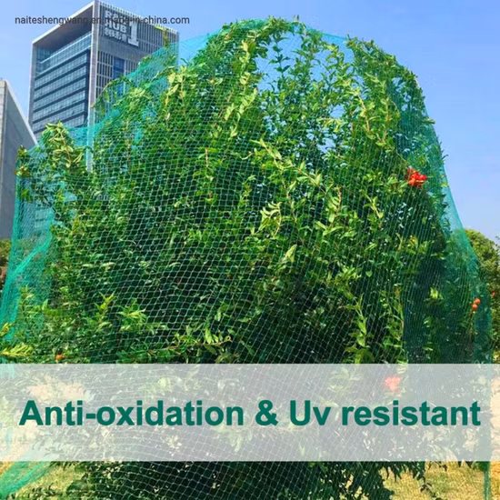 Garden Netting with 2.4